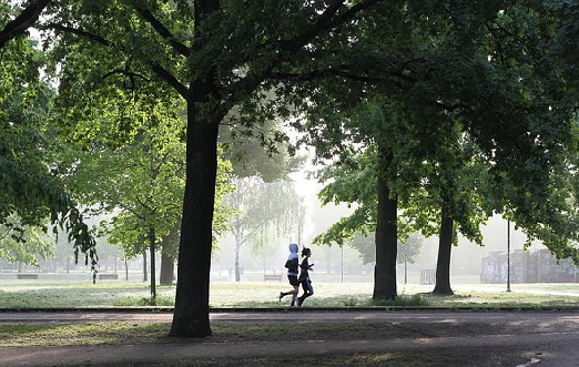 runningtherapie met 40days.nl in Rotterdam